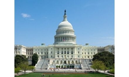 Senators Call for Probe Into Ethanol Limits, Oil Companies