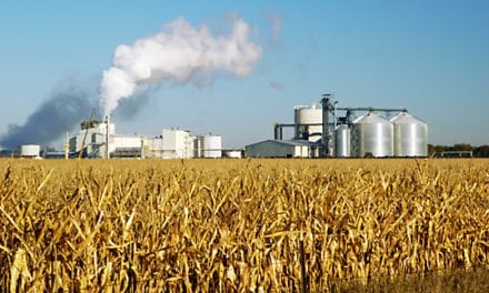 EIA: U.S. Ethanol Exports Fell for The First Time in Four Years in 2019