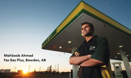 CASE STUDY: Silktek Curved Composite Material Helps Modernize Parkland Sites