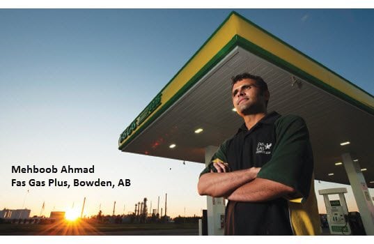 CASE STUDY: Silktek Curved Composite Material Helps Modernize Parkland Sites