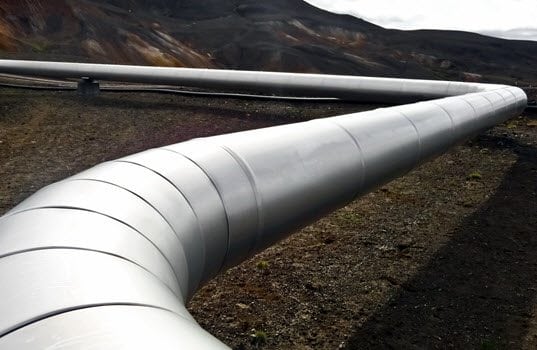 Policy Brief: Big Green Gets a Win-for Now