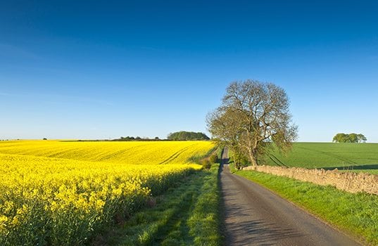 RFA Issues One-Pager Response to Anti-Ethanol Rhetoric on the Presidential Campaign Trail