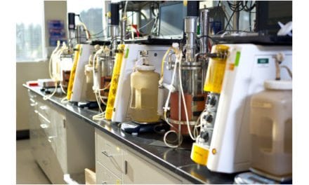 ExxonMobil, Renewable Energy Group to Research Biodiesel From Cellulosic Sugars