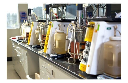 ExxonMobil, Renewable Energy Group to Research Biodiesel From Cellulosic Sugars