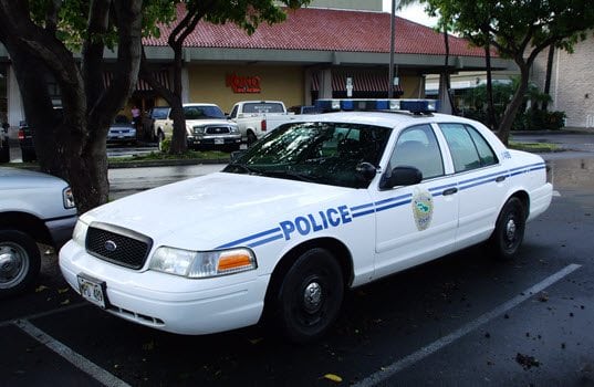 Apprehension of Shoplifters and Dishonest Employees Has Increased in 9 of the Past 10 Years