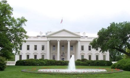 Policy Brief: The Candidates and Energy Policy