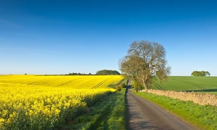 Initiative to Promote Low Carbon Farming Practices and Biofuels