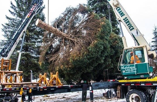 SkyBitz Celebrates 10 Years of Tracking the U.S. Capitol Christmas Tree’s Journey to the Nation’s Capitol