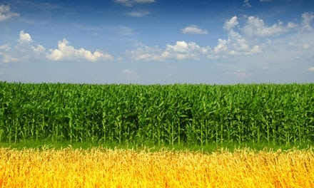 Ethanol and Sustainability Groups Congratulate Tom Vilsack for His Confirmation as USDA Secretary