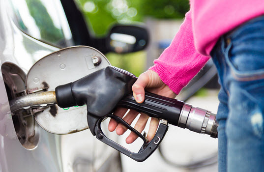 In the United States, Most Petroleum Is Consumed in Transportation