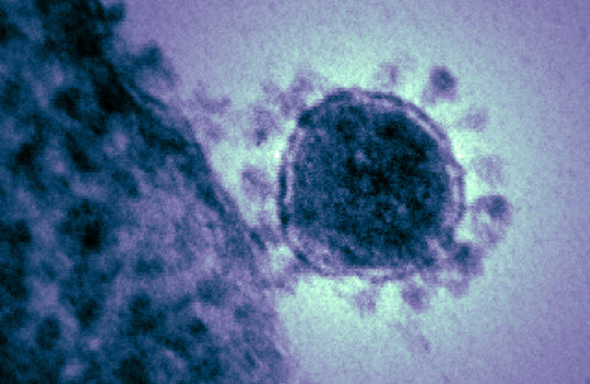 States That Will Be Hit Hardest by Coronavirus and a Resulting Weakness In China