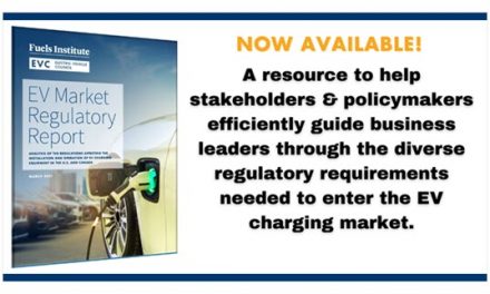 EV Market Regulatory Report