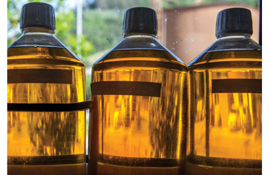 A Fresh Look at Renewable Fuels