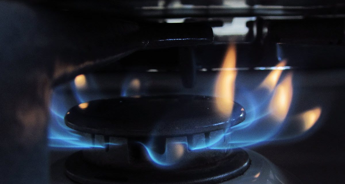 NJPGA Highlights Omissions in EMP Cost Report