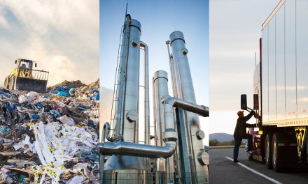 bp Accelerates and Expands in Bioenergy