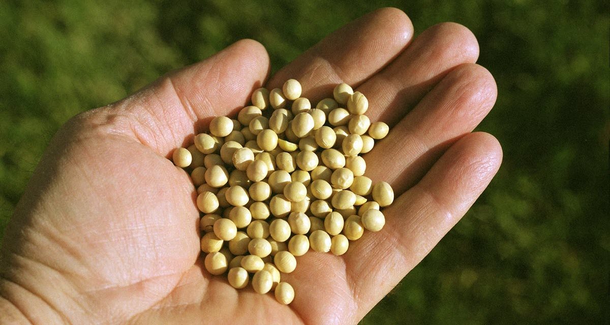 Clean Fuels Welcomes New Missouri Biodiesel Tax Incentive