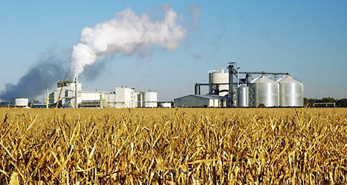 Study: Carbon Sequestration Vital to Future of Iowa Corn Production