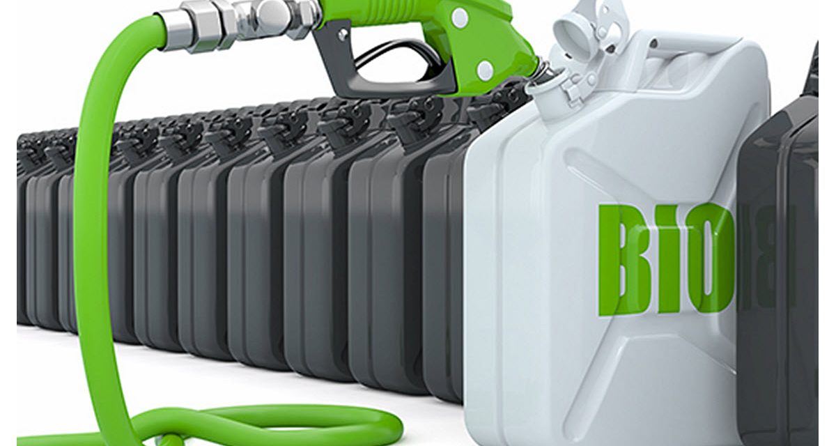 U.S. Capacity to Produce Biofuels Increased 7% in 2023