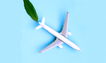 Recent Innovations in Sustainable Aviation Fuels