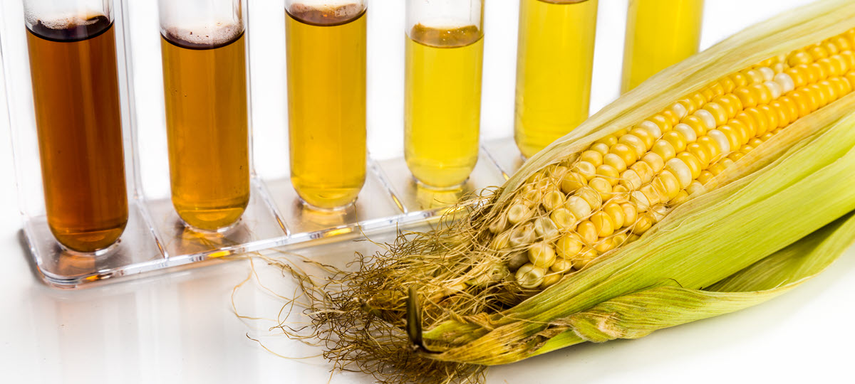 POET and Summit Carbon Solutions Announce Carbon Capture Partnership