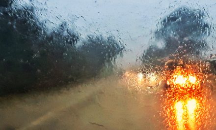 Manage Your Fleet Insurance