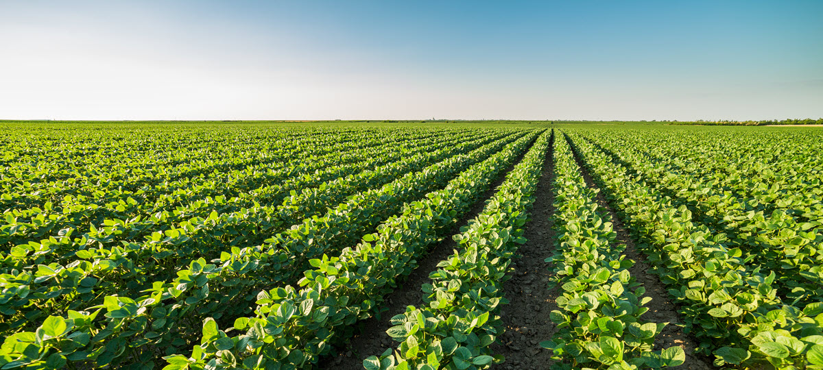 Book and Claim System Will Spur Climate Smart Agriculture Practices