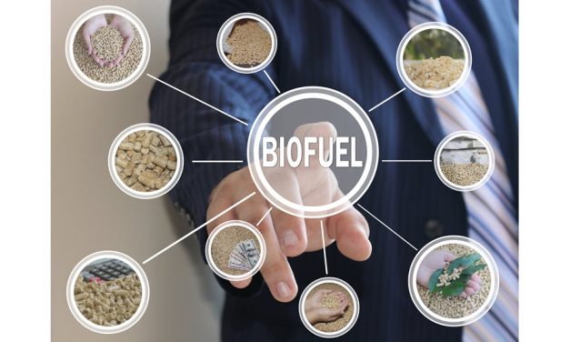 Trade Associations Ask EPA to Meet November RFS Deadline