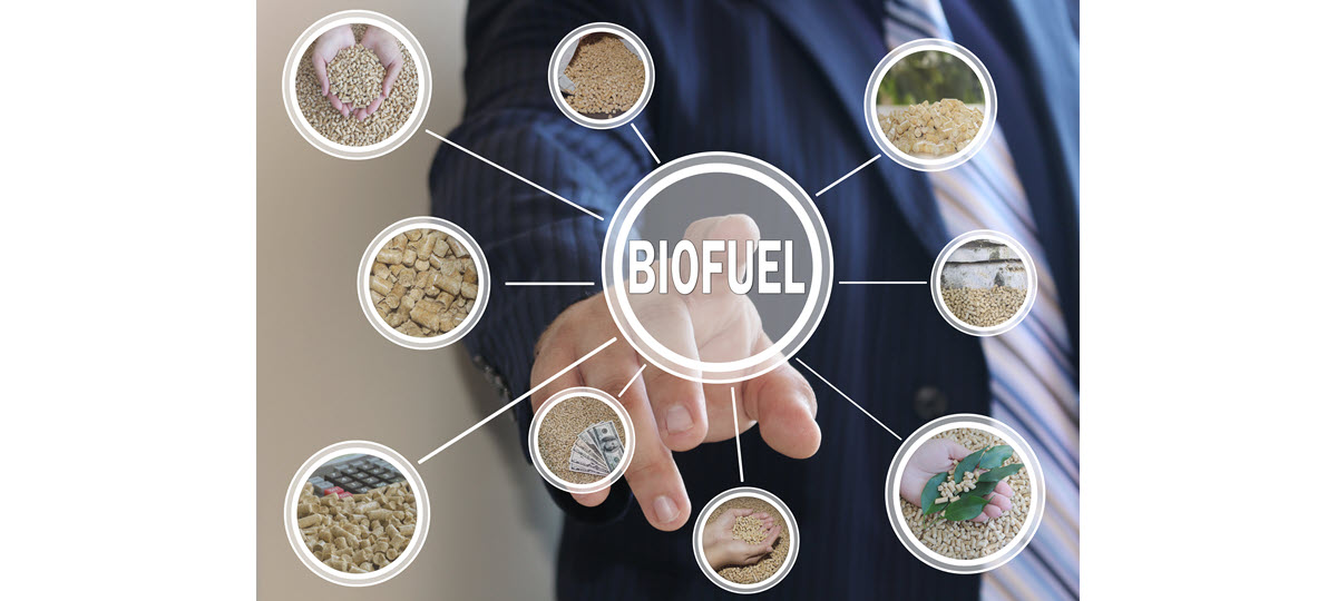 Trade Associations Ask EPA to Meet November RFS Deadline