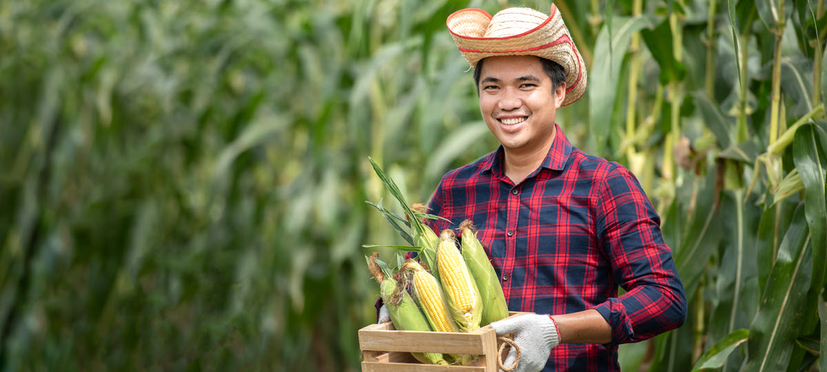 USDA Request for Information on Climate Smart Ag
