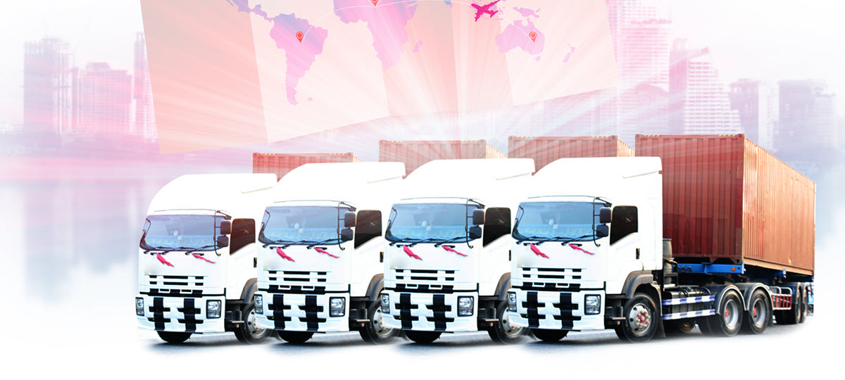 WEX Study: Mixed-Energy Fleets on the Rise