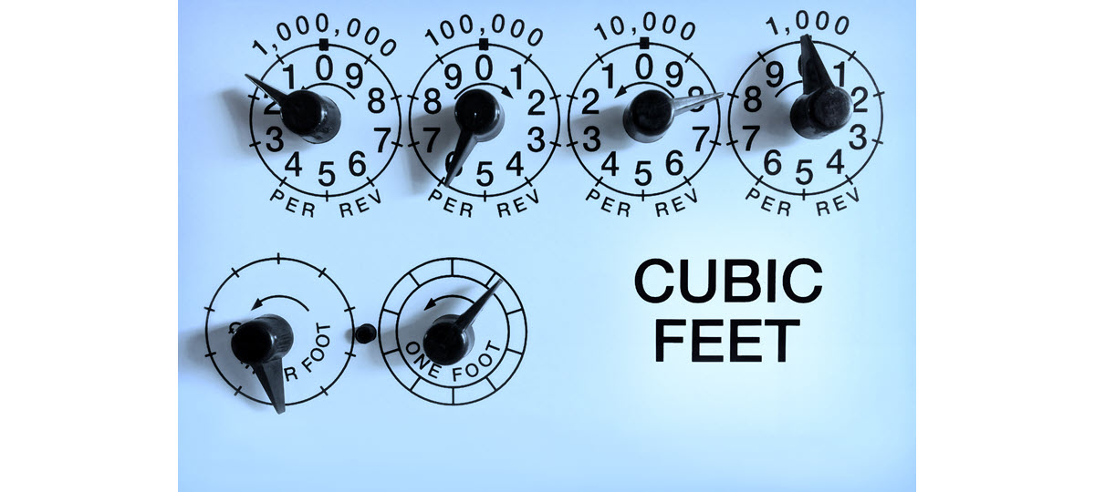 The Opening of California’s Largest Landfill to RNG Plant
