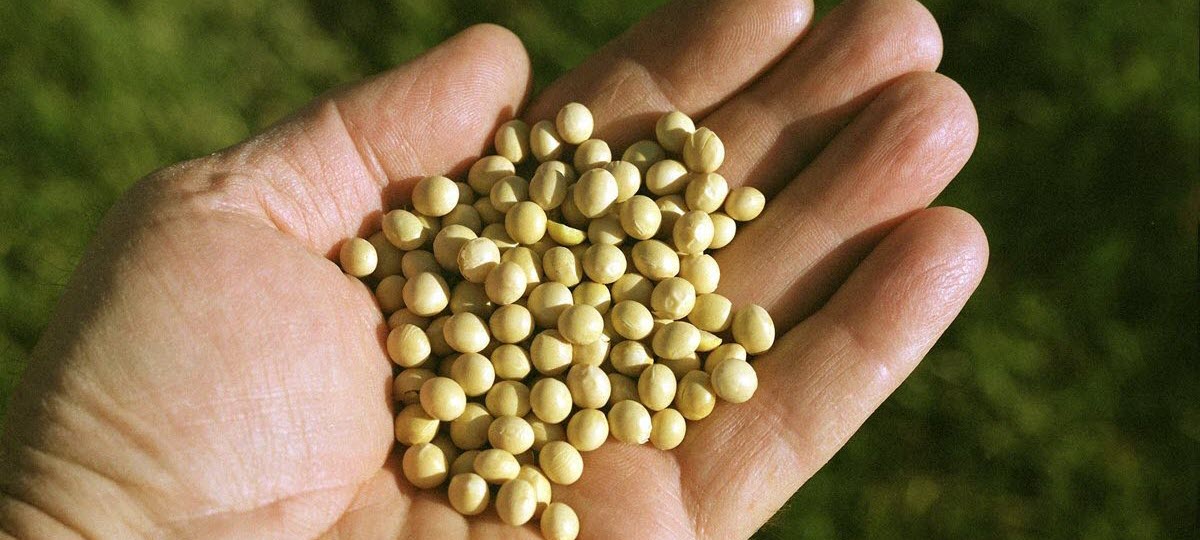 Clean Fuels Testifies on EPA’s 2026-27 RFS Rule Proposal