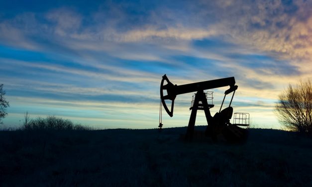 EIA: Petroleum Liquids Supply Growth Driven by Non-OPEC+ Countries