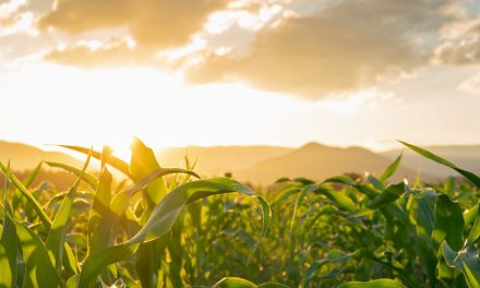 POET Thanks President, Calls for Year-Round Solution